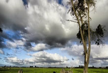 德国杯：莱比锡小胜沃尔夫斯堡 晋级半决赛.