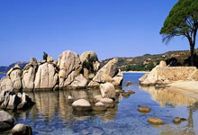 第九届亚冬会火炬传递圆满结束哈尔滨日报.